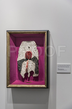 20150731_Dali_Museum_St_Petersburg_9C7C9740