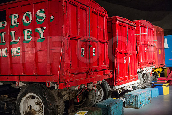 20150801_Ringling_Museum_Sarasota_FL_9C7C0720