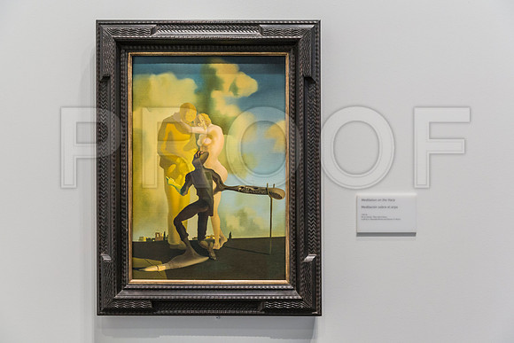 20150731_Dali_Museum_St_Petersburg_9C7C9755