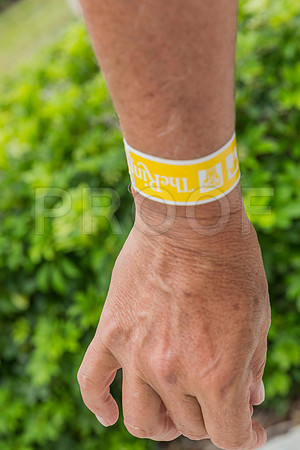 20150801_Ringling_Museum_Sarasota_FL_9C7C0554