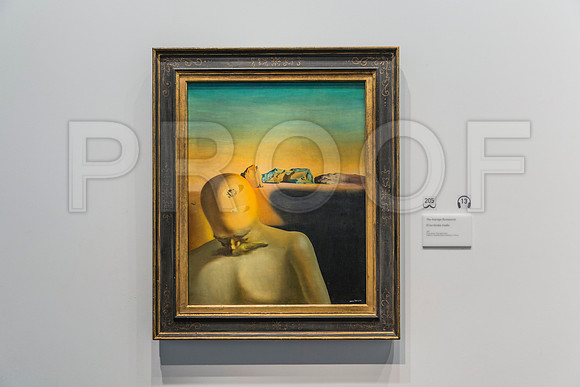20150731_Dali_Museum_St_Petersburg_9C7C9754
