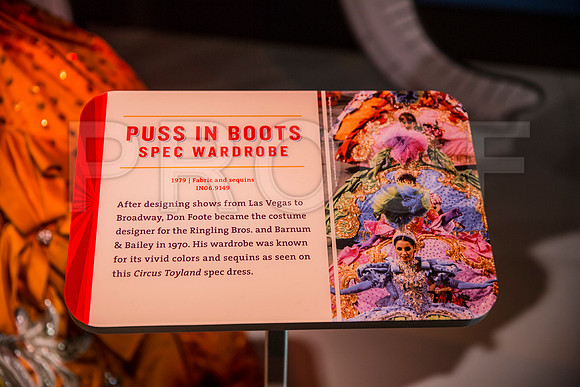 20150801_Ringling_Museum_Sarasota_FL_9C7C0612