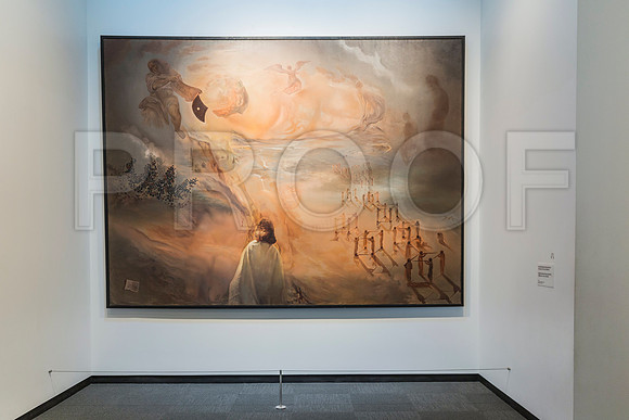 20150731_Dali_Museum_St_Petersburg_9C7C9793
