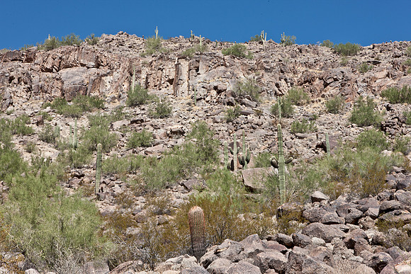 0031_La_Arizona_5L8Y5558