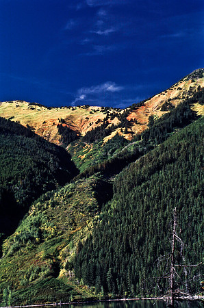 06814_B19_SL_COLOR_WHISTLER_TO_LIBOOER_TO_KAMLOOPS_WS_97_05.jpg