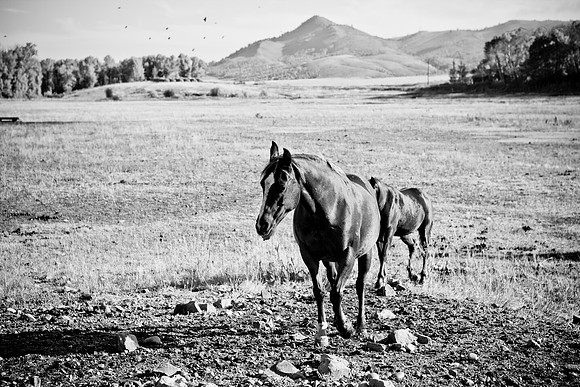 0020_Wyonming_To_Ketchem_Sun_Valley_ID_5L8Y7433