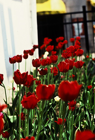 47363_B3_SL_COLOR_SL_COLOR_SURROUNDINGS_NE_97_06.jpg