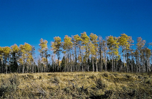 6087_FM_COLOR_ASPEN_TO_INDEPENDENT_CO_05_12.jpg