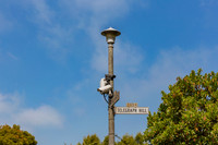 20130730_San_Francisco_9C7C7459