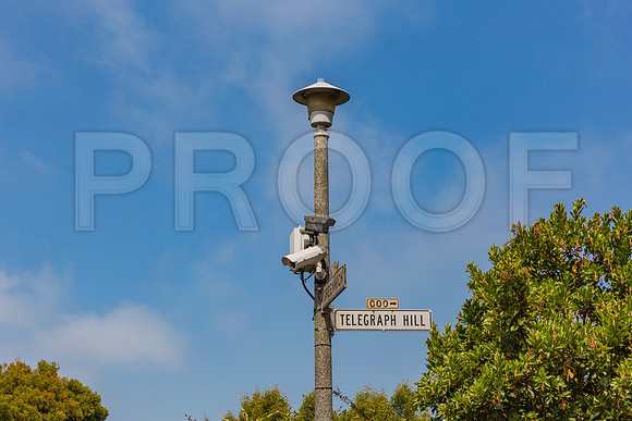 20130730_San_Francisco_9C7C7459