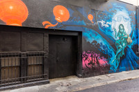 20130729_San_Francisco_9C7C6290