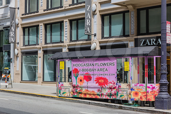 20130730_San_Francisco_9C7C7022