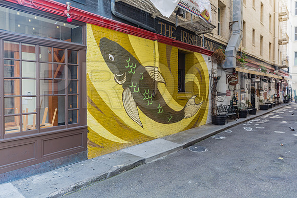 20130729_San_Francisco_9C7C6281