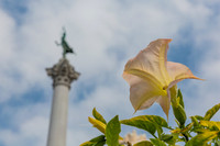 20130729_San_Francisco_9C7C6582