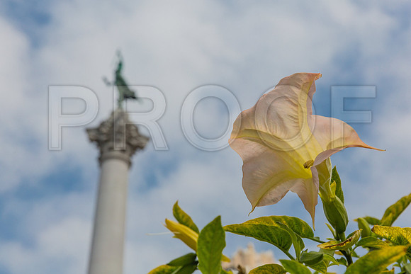 20130729_San_Francisco_9C7C6582