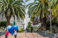 20130729_San_Francisco_9C7C6532