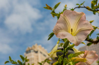 20130729_San_Francisco_9C7C6578