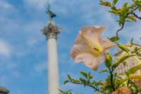 20130729_San_Francisco_9C7C6559