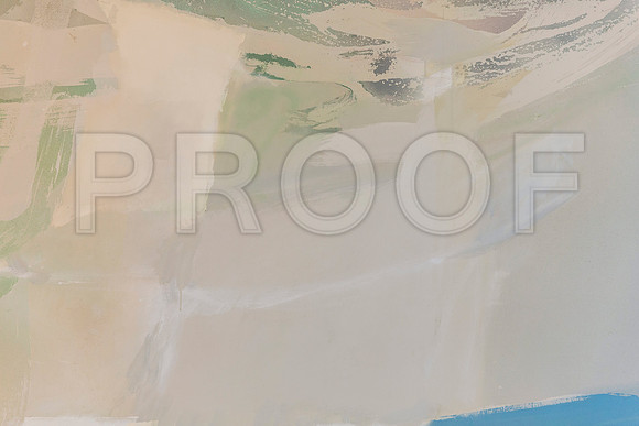 20150731_Museum_of_Fine_Arts_ST_Pet_9C7C0168