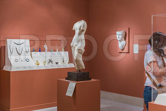20150731_Museum_of_Fine_Arts_ST_Pet_9C7C0188