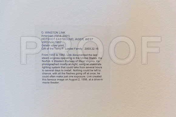 20150731_Museum_of_Fine_Arts_ST_Pet_9C7C0137