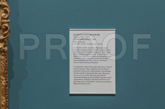 20150731_Museum_of_Fine_Arts_ST_Pet_9C7C0278