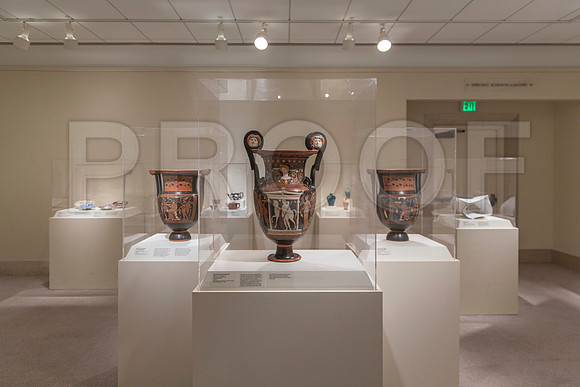 20150731_Museum_of_Fine_Arts_ST_Pet_9C7C0185