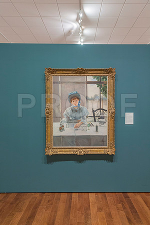 20150731_Museum_of_Fine_Arts_ST_Pet_9C7C0275