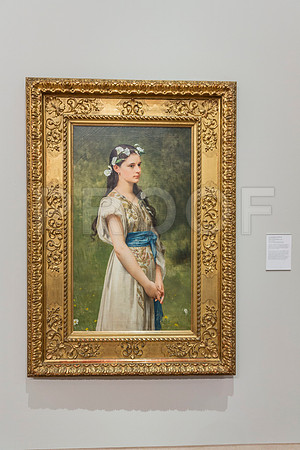 20150731_Museum_of_Fine_Arts_ST_Pet_9C7C0286