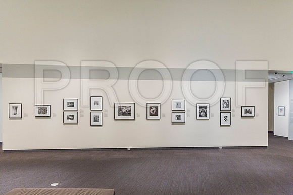 20150731_Museum_of_Fine_Arts_ST_Pet_9C7C0159