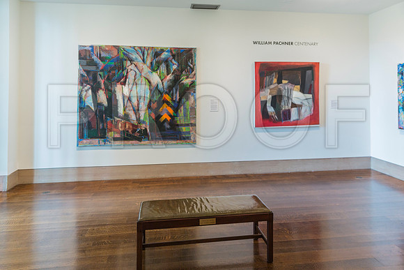 20150731_Museum_of_Fine_Arts_ST_Pet_9C7C0322