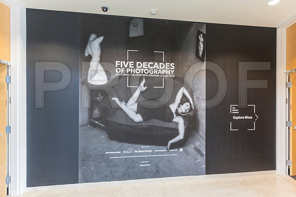 20150731_Museum_of_Fine_Arts_ST_Pet_9C7C0135