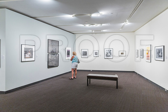 20150731_Museum_of_Fine_Arts_ST_Pet_9C7C0153