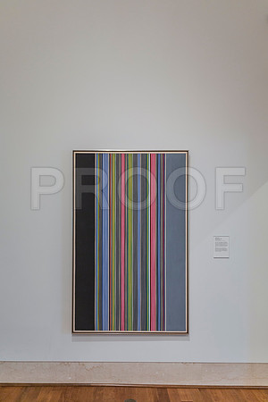 20150731_Museum_of_Fine_Arts_ST_Pet_9C7C0321