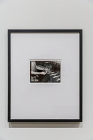 20150731_Museum_of_Fine_Arts_ST_Pet_9C7C0140