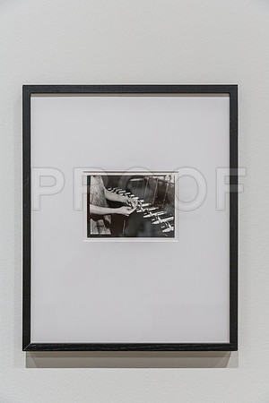 20150731_Museum_of_Fine_Arts_ST_Pet_9C7C0140