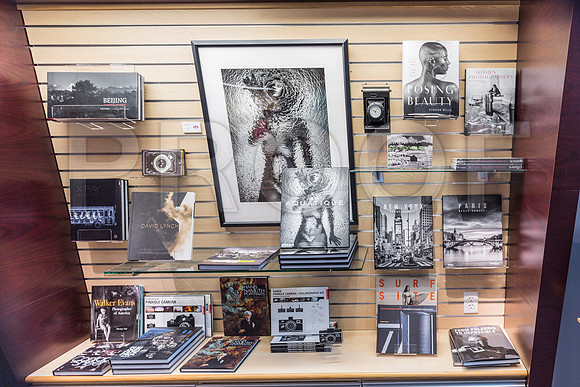 20150731_Museum_of_Fine_Arts_ST_Pet_9C7C0344