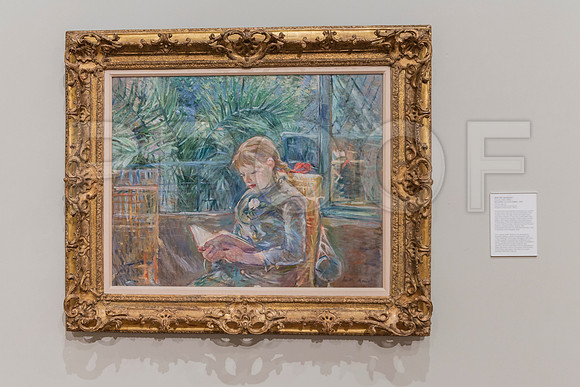 20150731_Museum_of_Fine_Arts_ST_Pet_9C7C0298