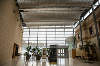 20150731_Museum_of_Fine_Arts_ST_Pet_9C7C0130