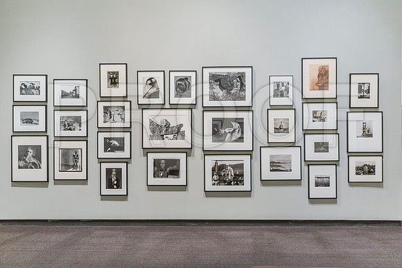 20150731_Museum_of_Fine_Arts_ST_Pet_9C7C0155