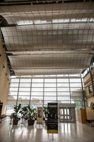 20150731_Museum_of_Fine_Arts_ST_Pet_9C7C0129
