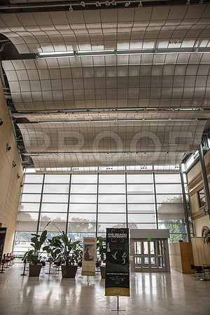 20150731_Museum_of_Fine_Arts_ST_Pet_9C7C0129
