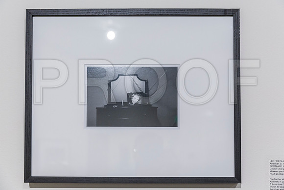 20150731_Museum_of_Fine_Arts_ST_Pet_9C7C0150
