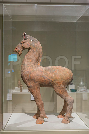 20150731_Museum_of_Fine_Arts_ST_Pet_9C7C0169