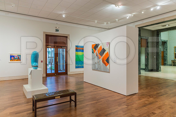 20150731_Museum_of_Fine_Arts_ST_Pet_9C7C0323
