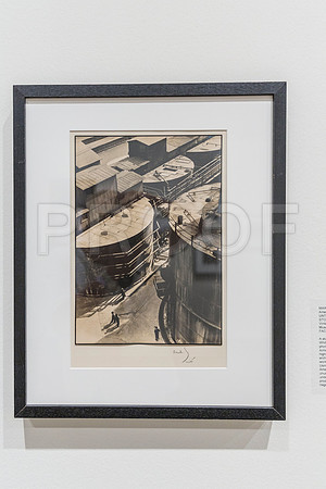 20150731_Museum_of_Fine_Arts_ST_Pet_9C7C0139