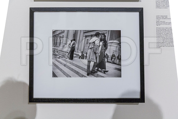20150731_Museum_of_Fine_Arts_ST_Pet_9C7C0151