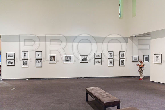 20150731_Museum_of_Fine_Arts_ST_Pet_9C7C0160