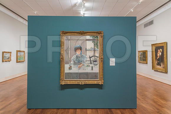 20150731_Museum_of_Fine_Arts_ST_Pet_9C7C0277