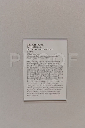 20150731_Museum_of_Fine_Arts_ST_Pet_9C7C0296